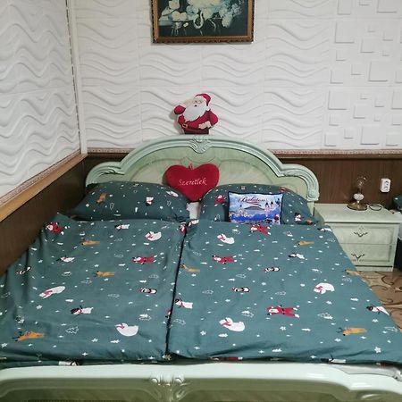 Edit Vendeghaz Tiszaújváros Pokoj fotografie