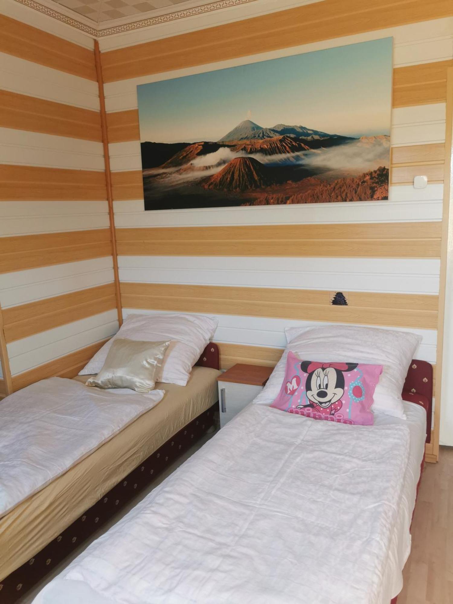 Edit Vendeghaz Tiszaújváros Pokoj fotografie